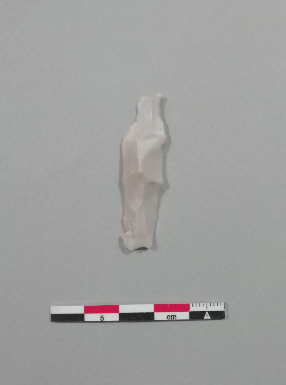 raschiatoio denticolato, D2, La Place (Neolitico Antico)