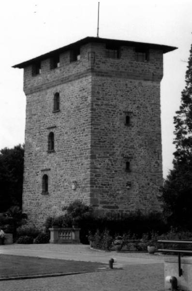 Torre del Castello di Tregolo