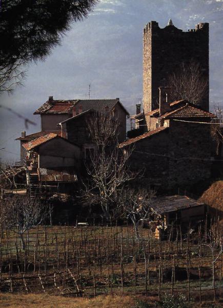 Borgo murato di Villa - complesso