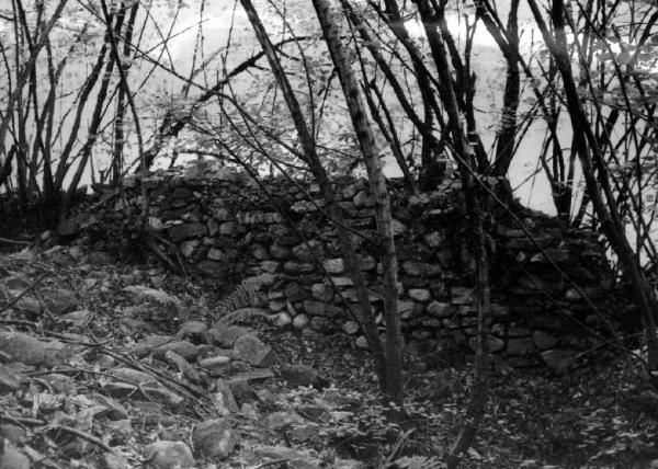 Castello - complesso