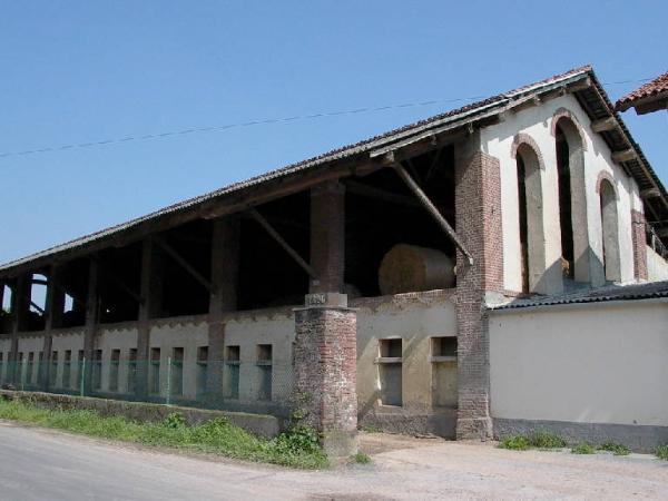 Stallone della Cascina Trognano