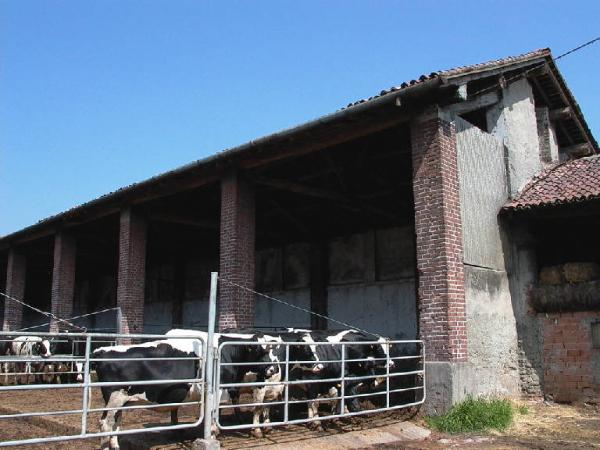 Portico della Cascina Trognano (ex)