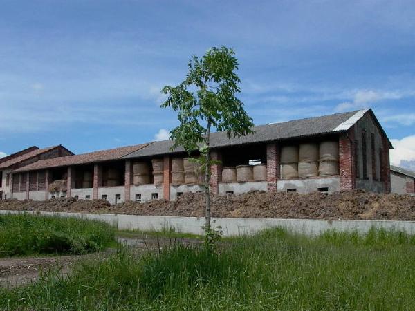 Stalla delle manze della Cascina Tavernasco