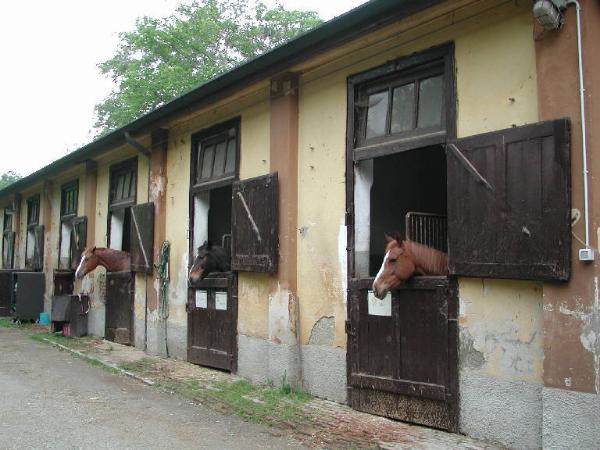 Monza Polo Club di Villa Mirabello