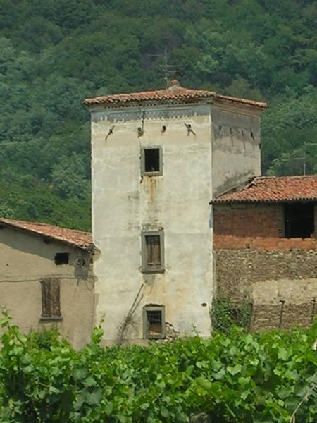 Torre Colombaia Cascina Badino