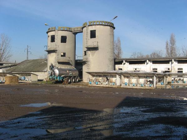 Sili della Cascina Vaianello