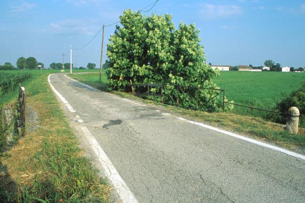 Ponte Sacca sullo Zara