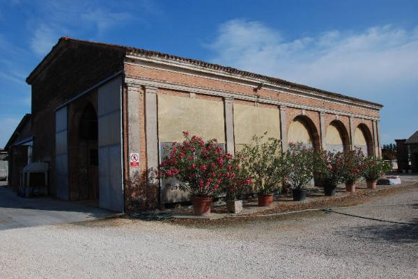 Stalla della corte in via Campione