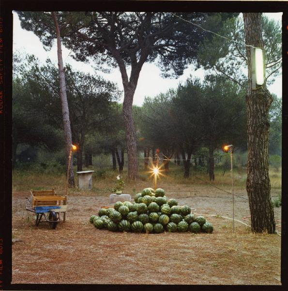 Follonica. Cumulo di cocomeri - pineta