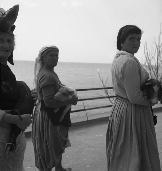 Italia del Sud. Calabria - ritratto di gruppo - donne con maialini in braccio