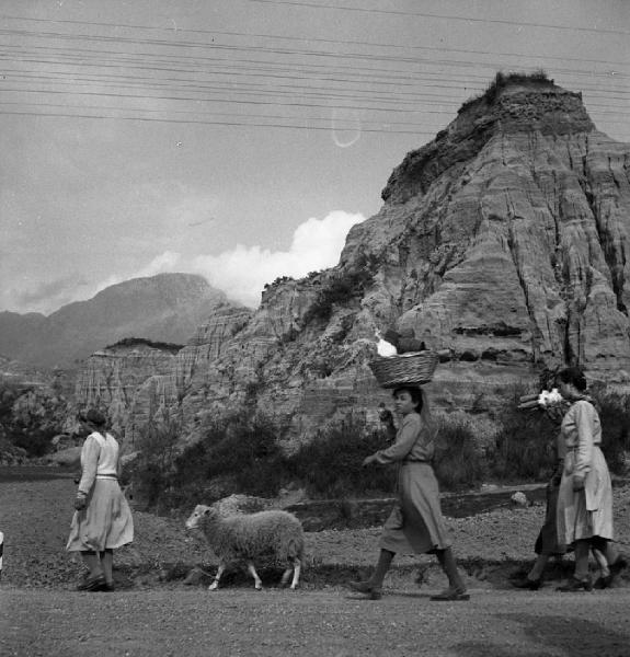 Italia del Sud. Calabria - strada sterrata - pecore - donne con sporta in testa