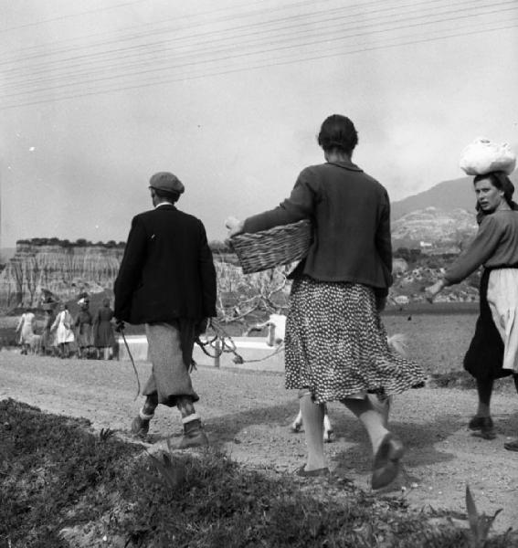 Italia del Sud. Calabria - strada sterrata - porcaro - donne con sporta in testa