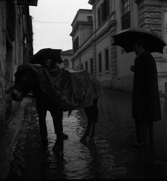 Italia del Sud. Calabria - centro abitato - uomo con ombrello - mulo da soma