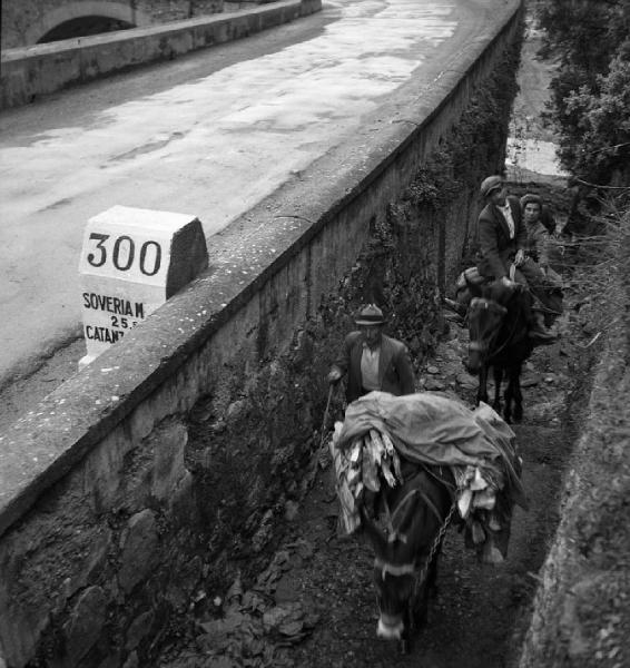 Italia del Sud. Calabria - strada - pietra miliare con le distanze verso Soveria e Catanzaro - mulo da soma