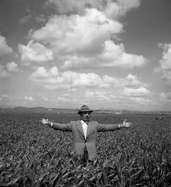 Italia del Sud. Calabria - ritratto maschile - contadino in un campo di grano