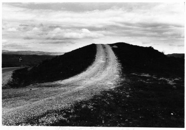 Paesaggio naturale con strada sterrata