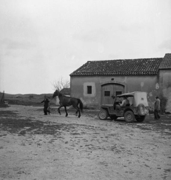 Italia del Sud. Calabria - ingresso di un'azienda agricola - carro - automobile