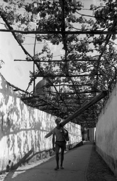 Italia del Sud. Positano - pergolato - bambino trasporta una trave