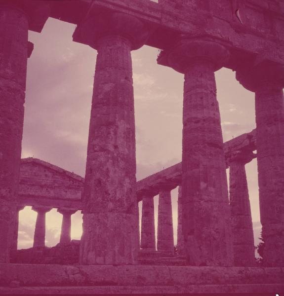 Italia del Sud. Paestum - tempio di Cerere - dettaglio delle colonne