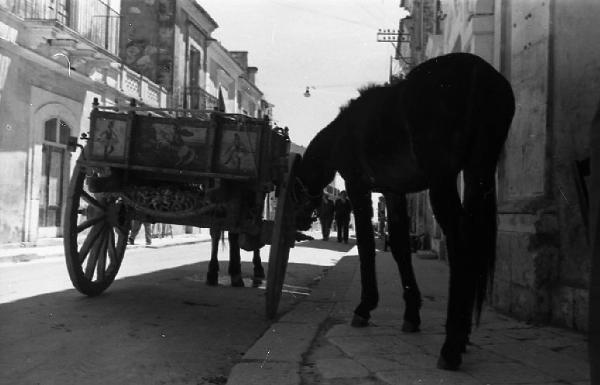 Italia del Sud. Buccheri - insediamento urbano - carro e cavallo