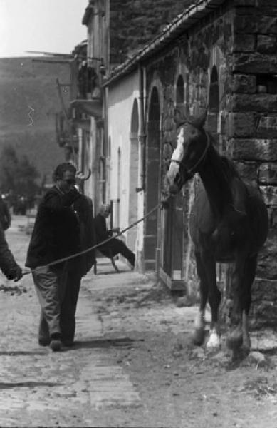 Italia del Sud. Buccheri - cavallo