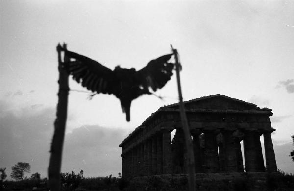 Italia del Sud. Paestum - tempio di Hera