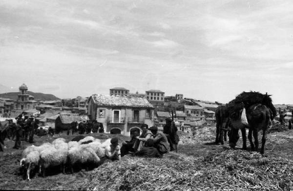 Italia del Sud. Buccheri - mercato - pastori