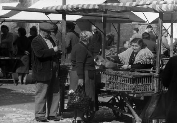 Italia del Sud. Terni - mercato all'aperto - venditrice di volatili