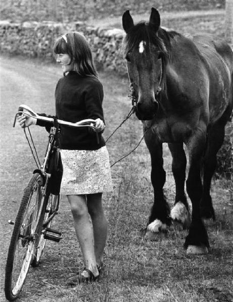 Ragazza con bicicletta passeggia a fianco di un cavallo