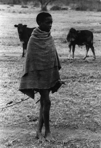 Ragazzo - pastore della tribù masai al pascolo