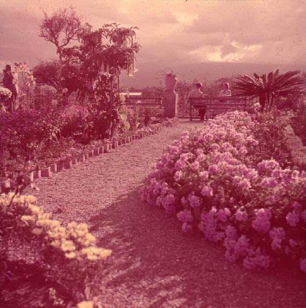 Italia del Sud. Giardini Naxos - aiuole fiorite