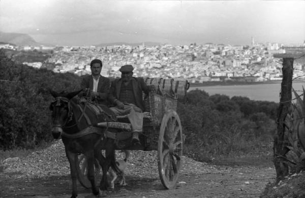 Italia del Sud. verso Messina - carretto siciliano