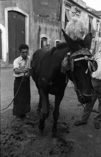 Italia del Sud. Sicilia - cavallo bardato