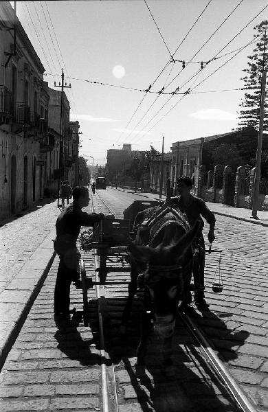 Italia del Sud. Catania - via Etnea - carro