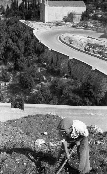 Italia del Sud. Sicilia - contadino zappa la terra