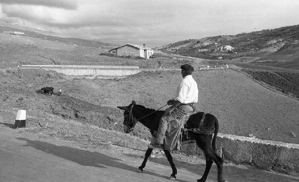 Italia del Sud. Sicilia - uomo a cavallo