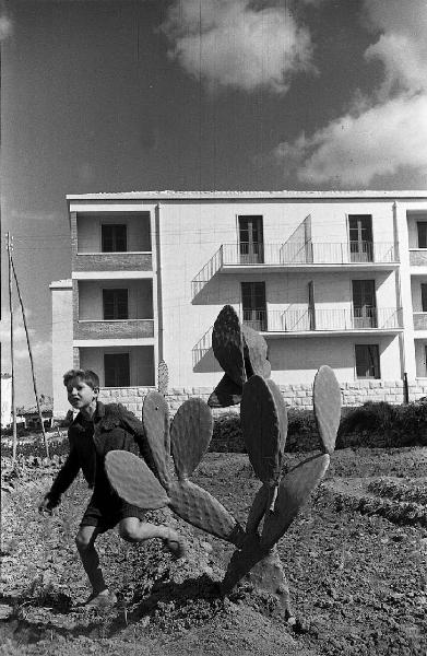 Italia del Sud. Sicilia - Comiso - ritratto maschile - ragazzino vicino a un cactus - palazzina di recente costruzione