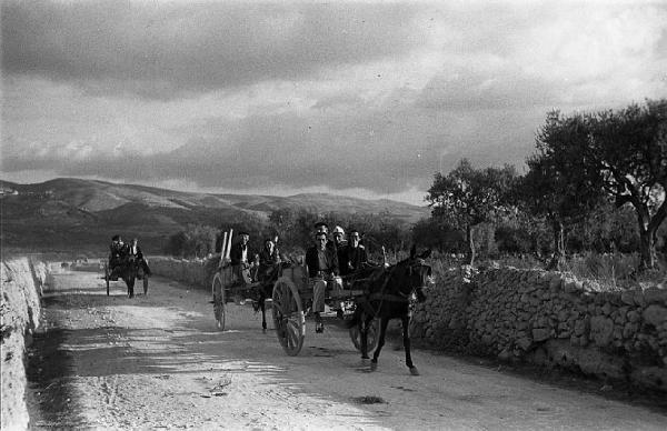 Italia del Sud. Sicilia - strada rurale - carri