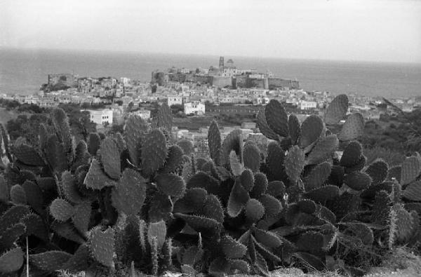 Italia del Sud. Sicilia - Isole Eolie - isola di Lipari - veduta di Lipari - piante di fico d'india