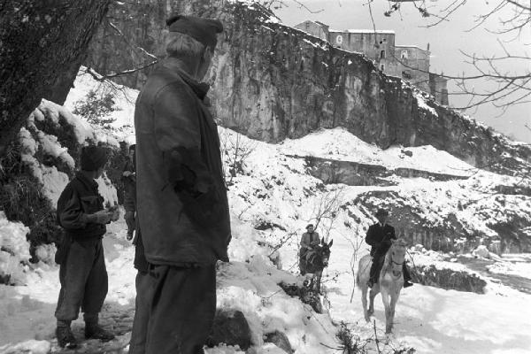 Italia del Sud. Italia Magica - Calabria, Cosenza - Fiume Busento - Adolfo Greco - Giuseppe Belfiore - asino