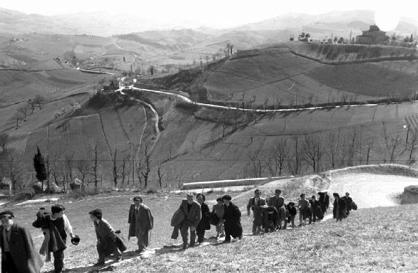 Italia Magica - Emilia Romagna - San Arcangelo di Romagna - colline - scolari