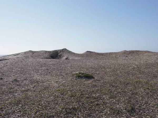 La Buona Politica. Mazara del Vallo - Capo Feto - Paesaggio - Dune