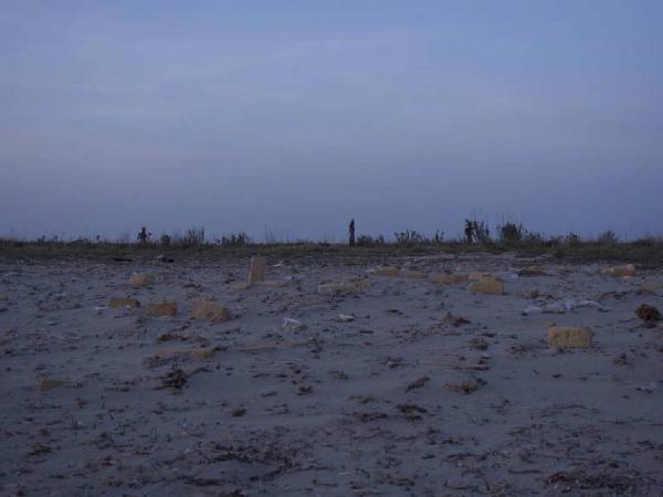 La Buona Politica. Petrosino - Spiaggia - Vegetazione