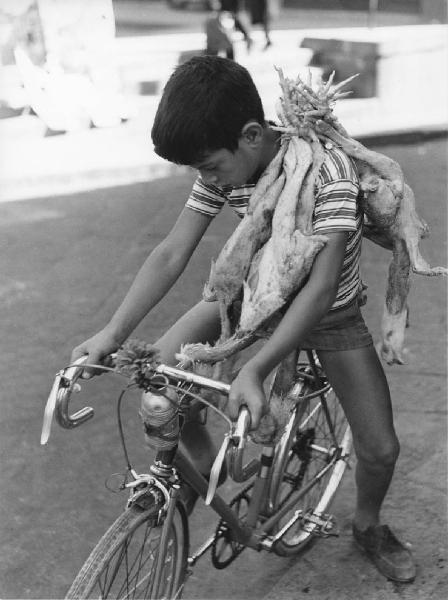 Napoli: Scugnizzi, si lavora. Napoli - Vicoli - Ritratto infantile - Bambino su bicicletta con polli a spalla