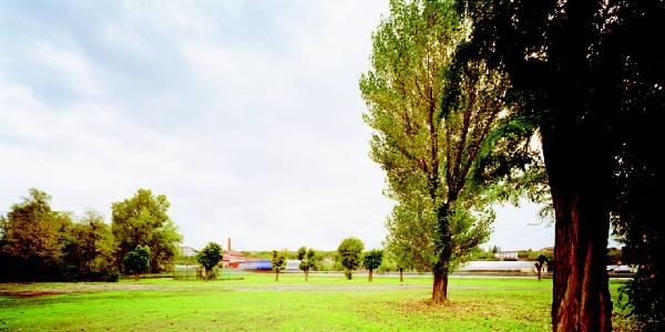 Attraverso la pianura. Serravalle - A7 Milano Serravalle - Area di sosta - Alberi - Strada - Ciminiera