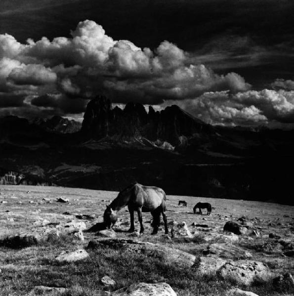 Val Gardena: Sassolungo - Cavalli al pascolo - Prato - Montagne - Cielo - Nuvole