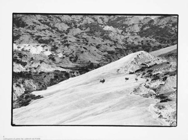 Lucania - Aliano - campi di grano tra i calanchi