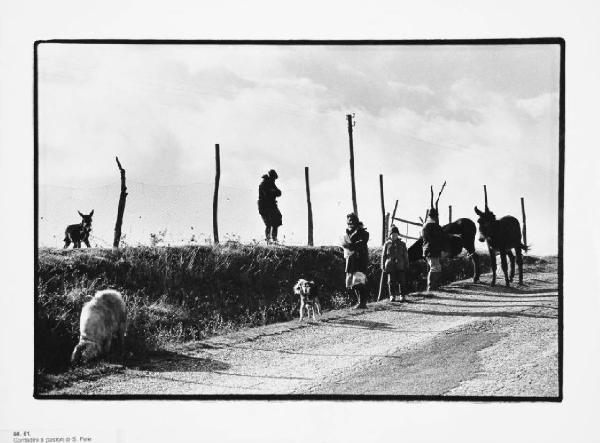 Lucania - San Fele - contadini e pastori lungo un viottolo di campagna