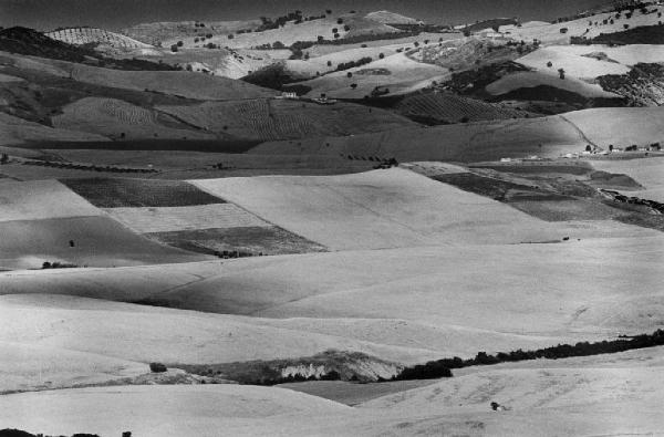 Lucania - Stigliano - campi di grano