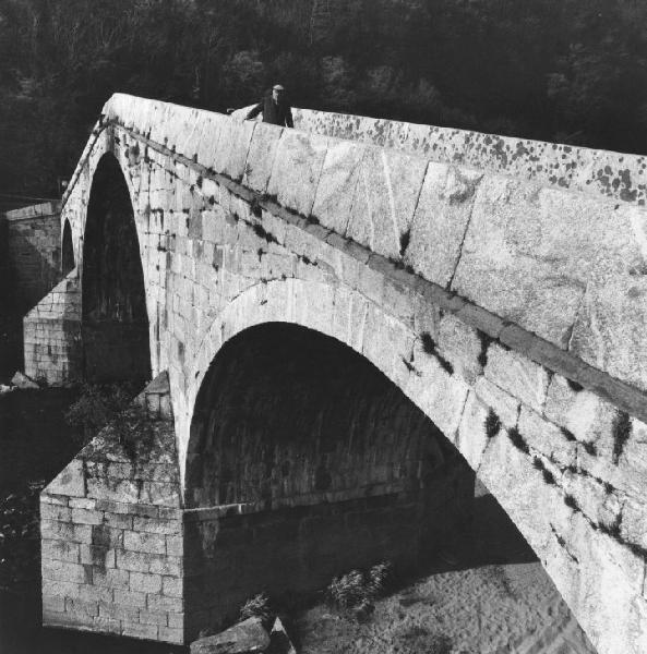 Ponte a schiena d'asino